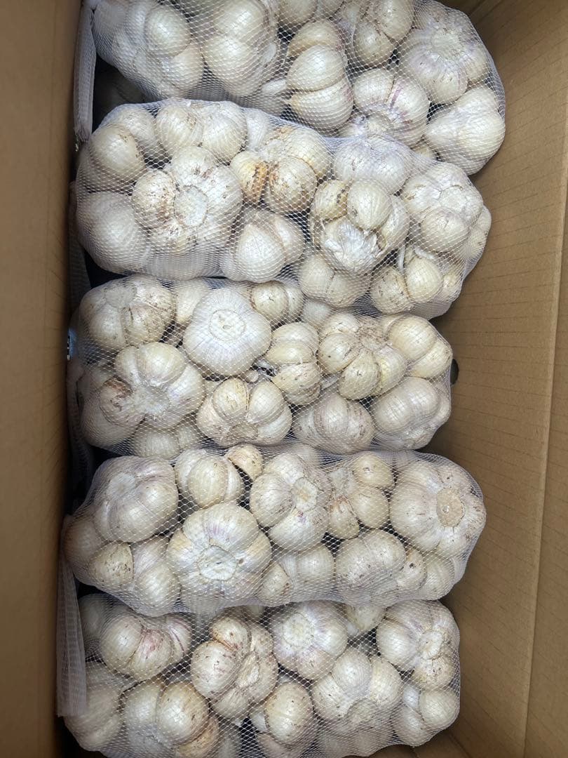 青森県産農薬不使用福地ホワイトMにんにく5キロ送料無料