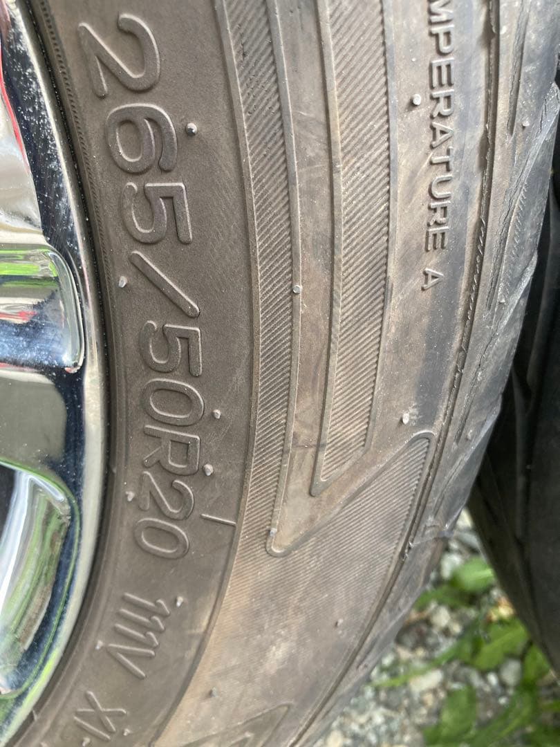 希少アルテジャパン　VICE CASE190 20インチアルミ