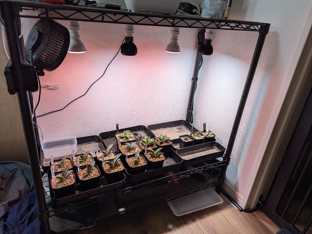 植物管理ラック LEDライト、ダクトレール、サーキュレーター付属