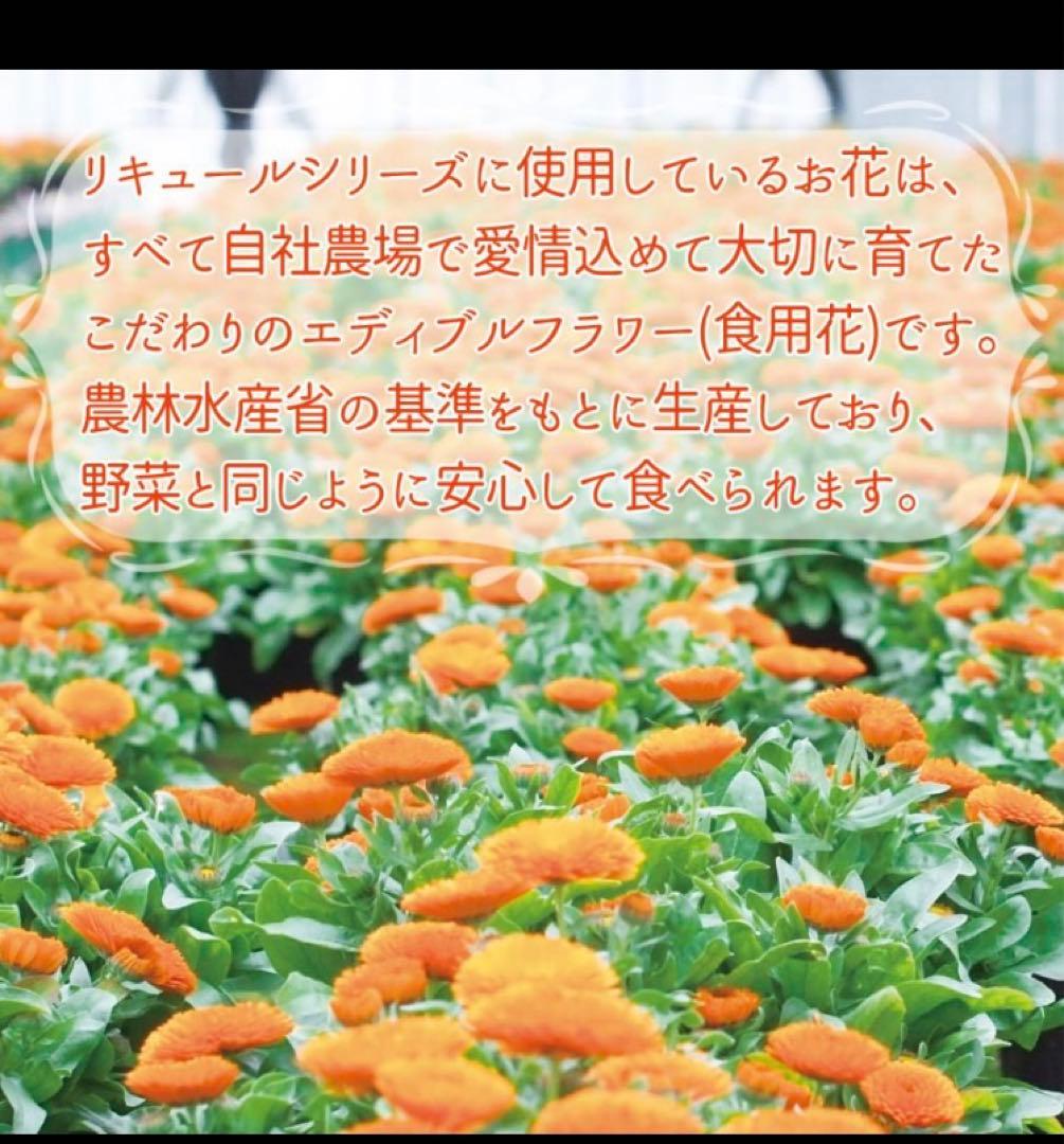 豊幸園酒造 お花のお酒 陽気な フェリーチェ12本