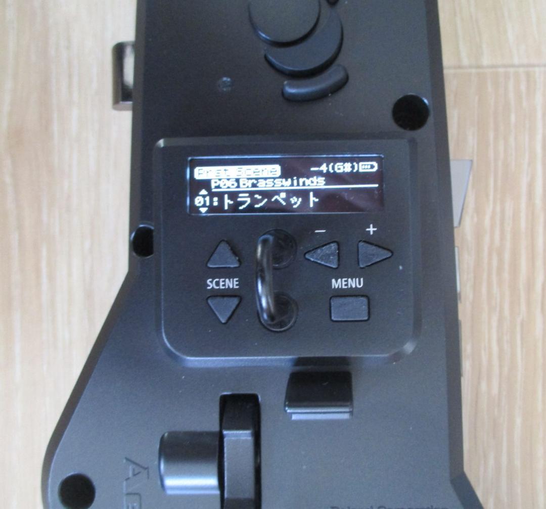 管楽器・吹奏楽器 Roland aerophone AE-20