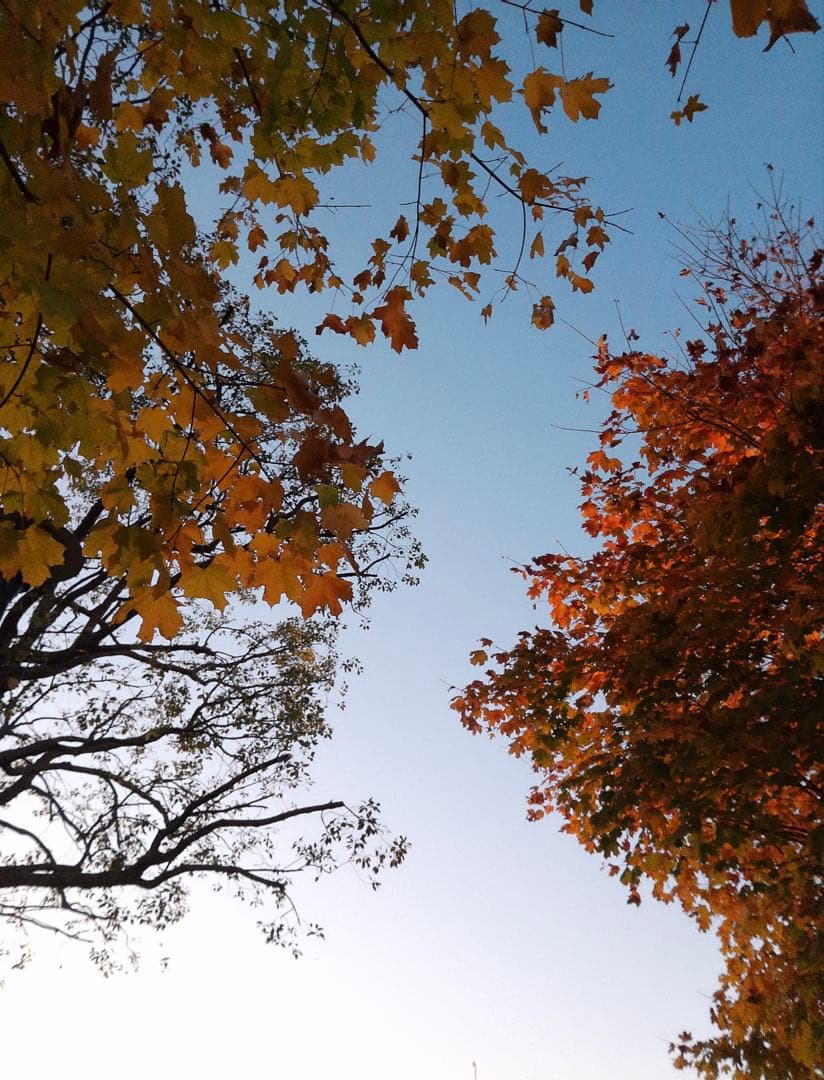 デジタルカメラ　18倍ズーム