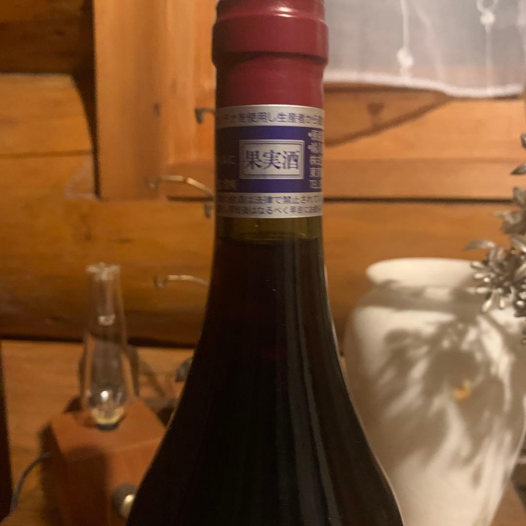 ドメーヌ デュ ペリカン アルボワ クロサンローラン ピノノワール 2023