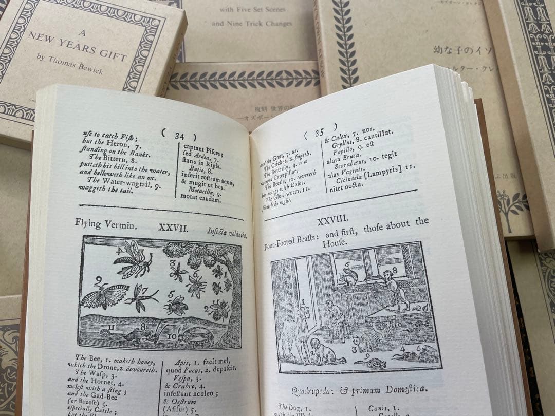 オズボーンコレクション復刻世界の絵本館全34点　古本　アンティーク　絵本　英語本