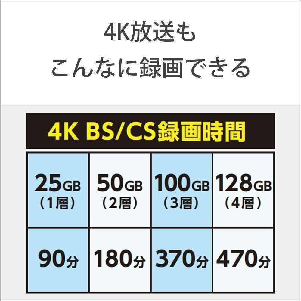 10セット　ソニー ブルーレイディスク BD-RE XL 100GB 3枚入り