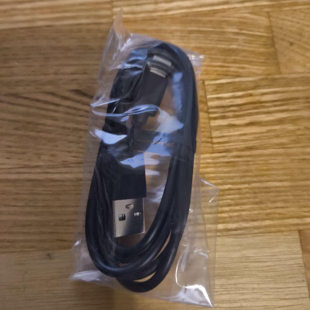 SKY ECHO MINI ブラック（Fiio, オーディオプレイヤー）