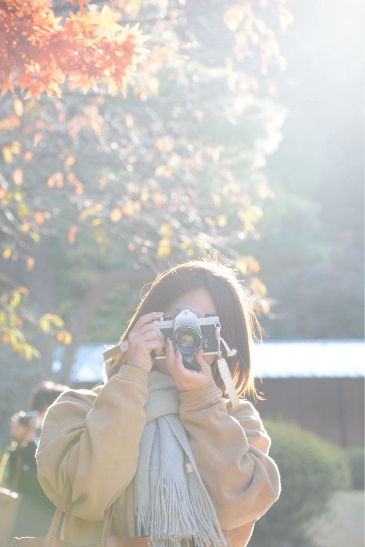 NikonD7100 18-300ズーム、35mm単焦点、10-20超広角セット