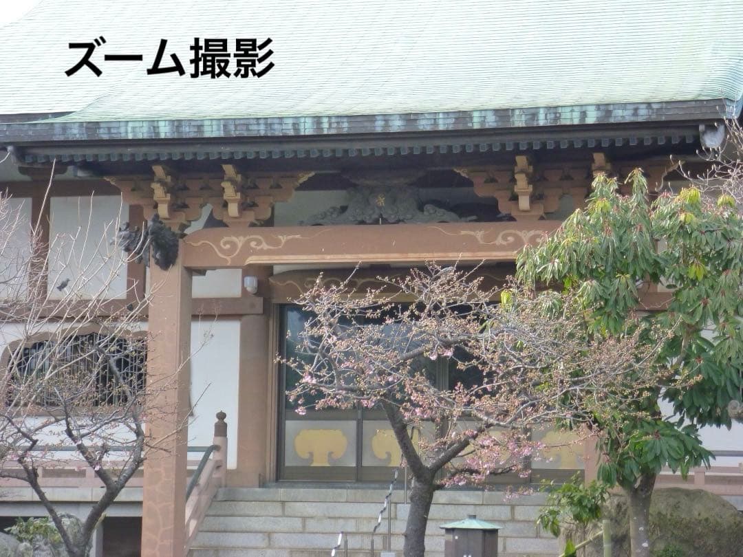 実写良⭕️【動作確認済】LUMIX Panasonic DMC-FX70