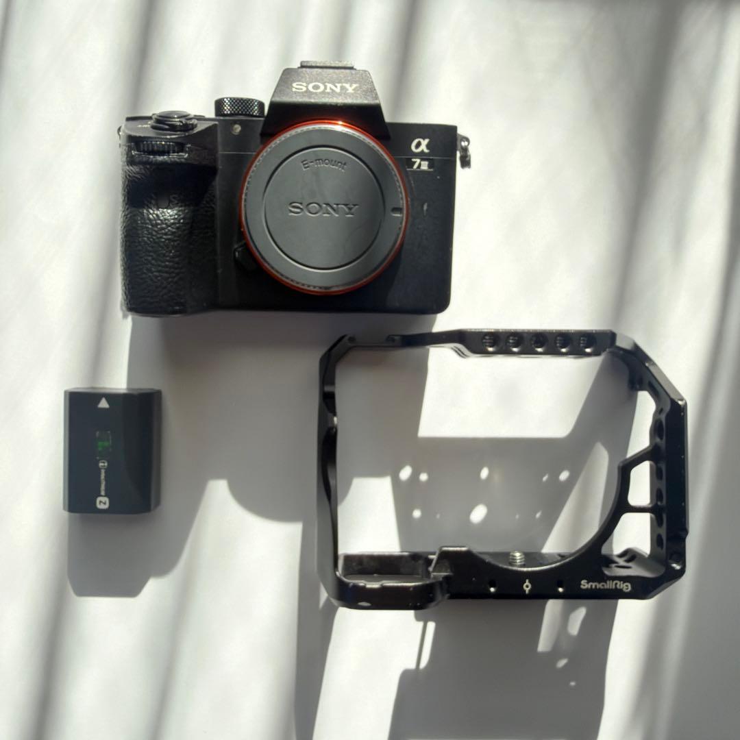 が*ん様 SONY α7 III 本体/フルゲージ(smallrig)