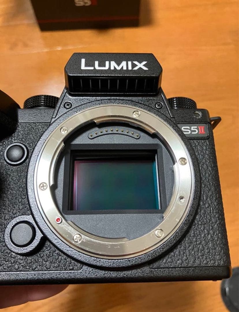 期間限定値引き中【美品 LUMIX DC-S5M2 s5II】バッテリー4個付