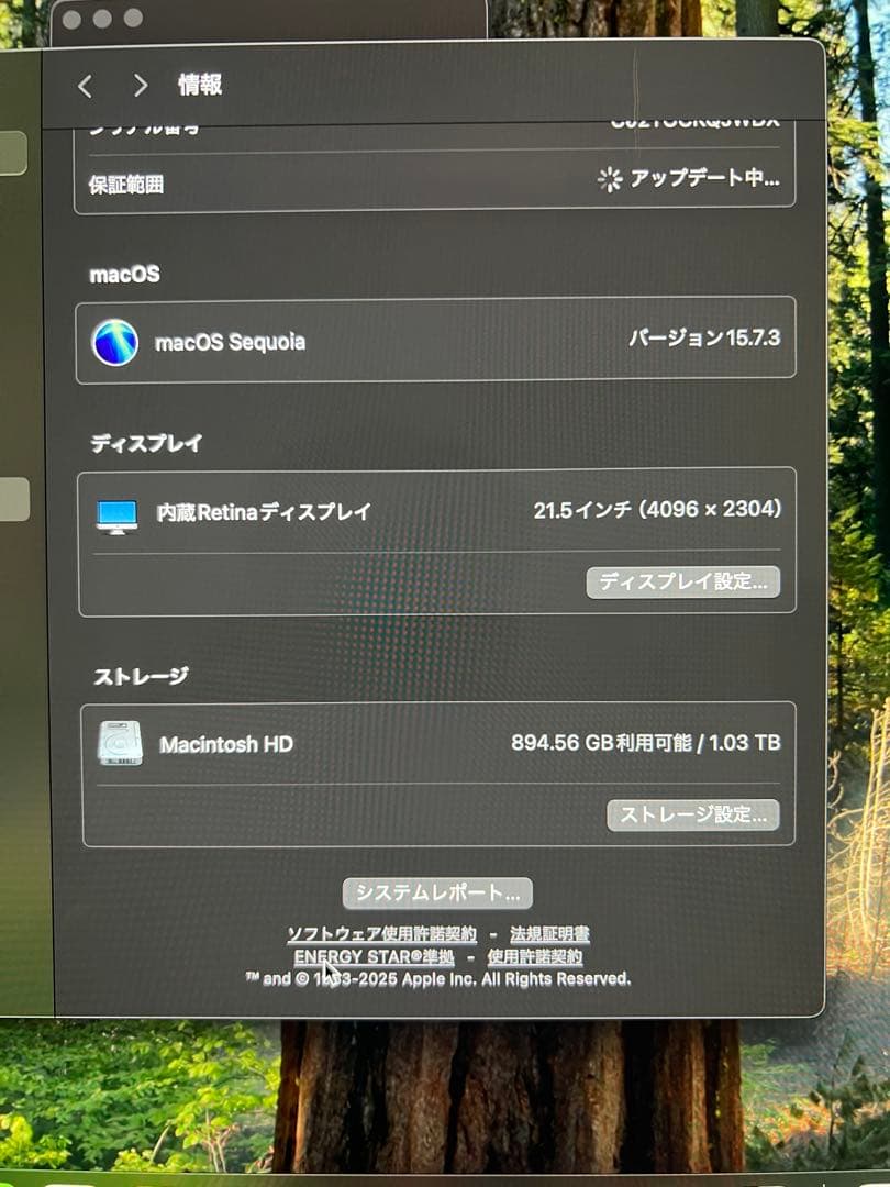 l*3様 iMac 2019 21.5インチ Retina 4K