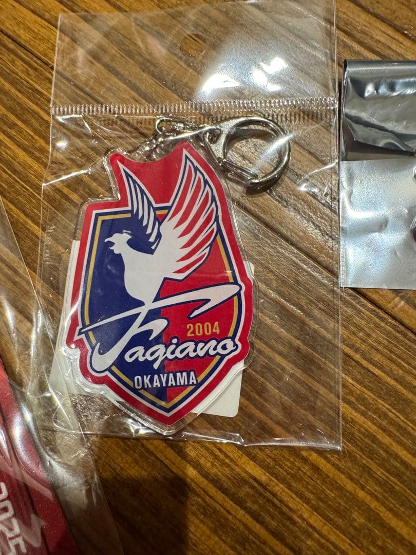 開幕戦　J1初勝利　いろいろセット　ファジアーノ岡山