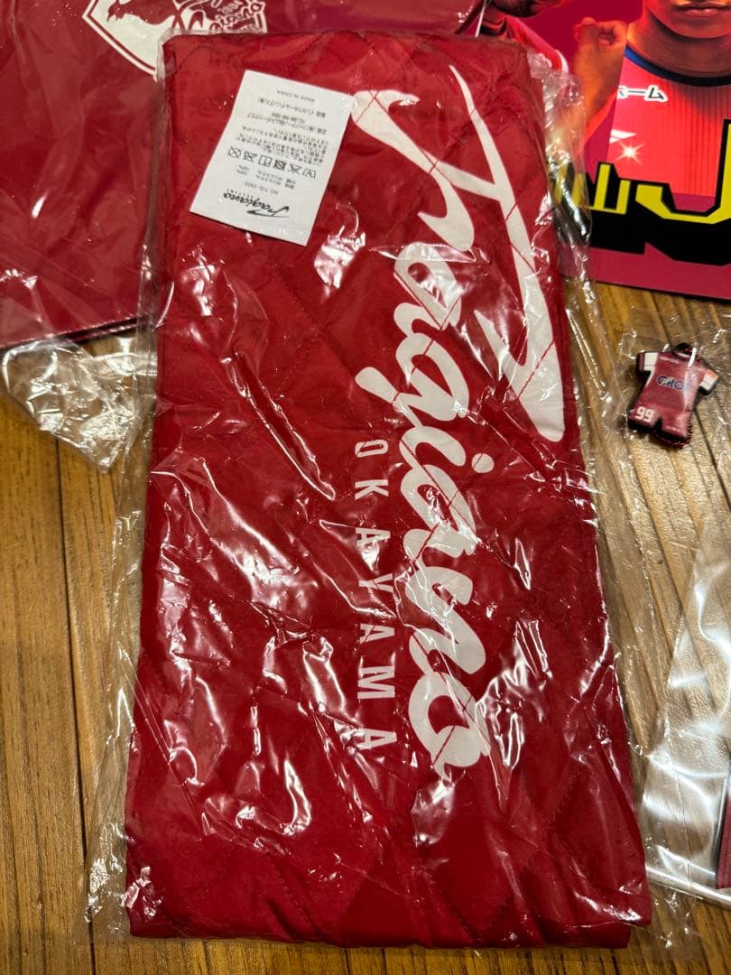 開幕戦　J1初勝利　いろいろセット　ファジアーノ岡山