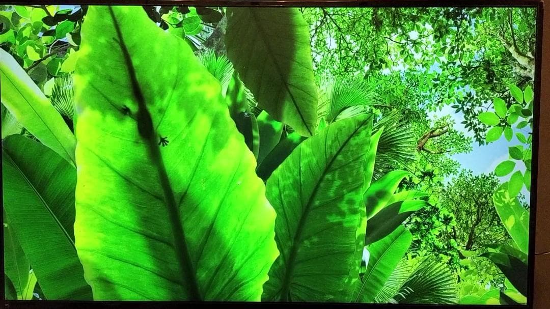 【訳あり・修理品】LG 43UN700-B 43インチ 4Kモニター（動作確認済