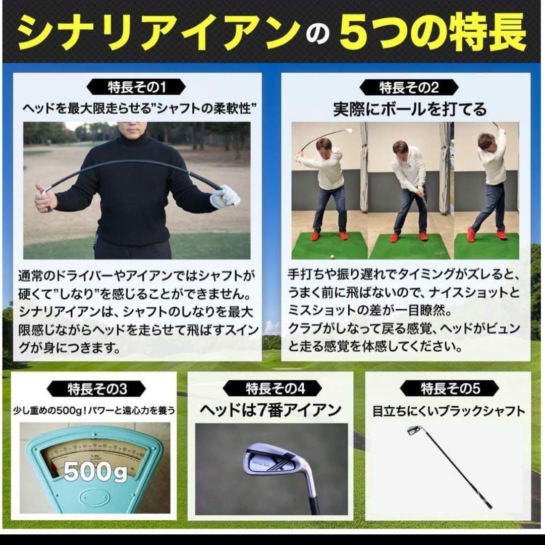 SHINKAI IRON 7番 ゴルフクラブ シナリアイアン