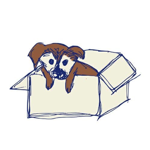 3#アップル様へ ついか画像です