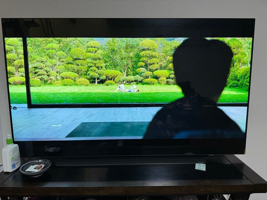 もあいさん専用　LG OLEDテレビ 大画面 有機EL 65インチ