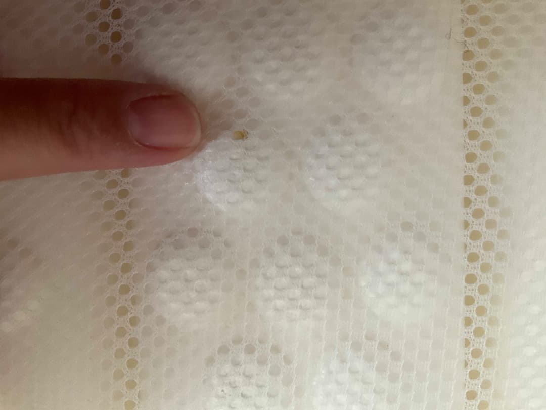 ロマンスエコー　ダブルサイズ