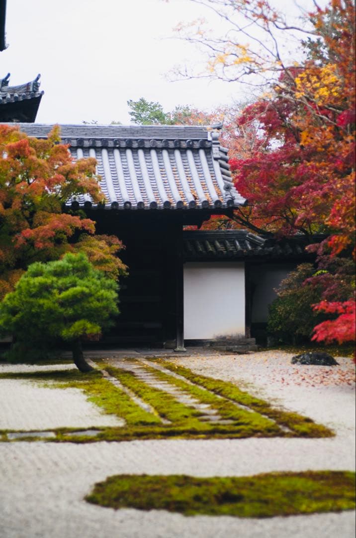 【良品】Leica テレエルマリート 90mm F2.8 (後期)