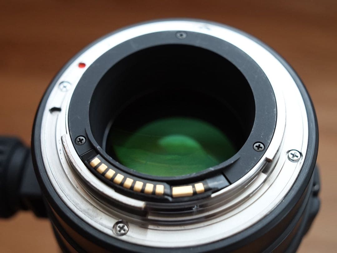 SIGMA APO70-200F2.8EX DG OS HSM/C キャノン