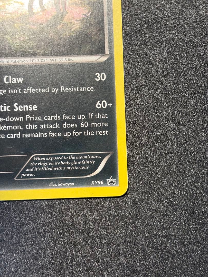 ブラッキー：ナイトバトル PROMO XYプロモ