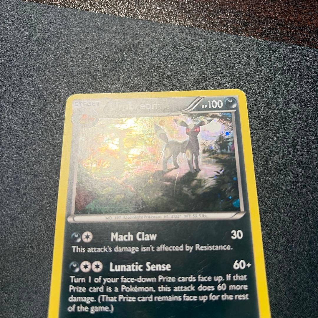 ブラッキー：ナイトバトル PROMO XYプロモ