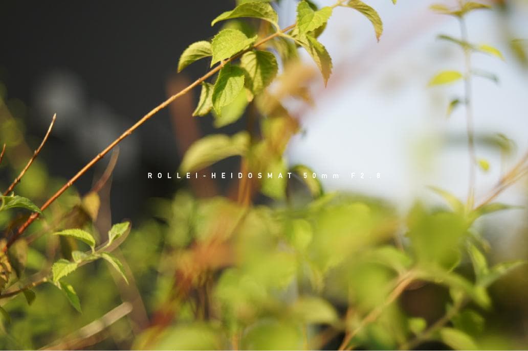 ROLLEI-HEIDOSMAT 50mm F2.8 ローライ M42マウント