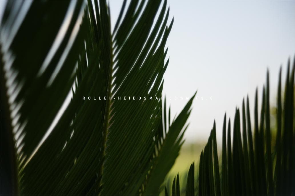 ROLLEI-HEIDOSMAT 50mm F2.8 ローライ M42マウント