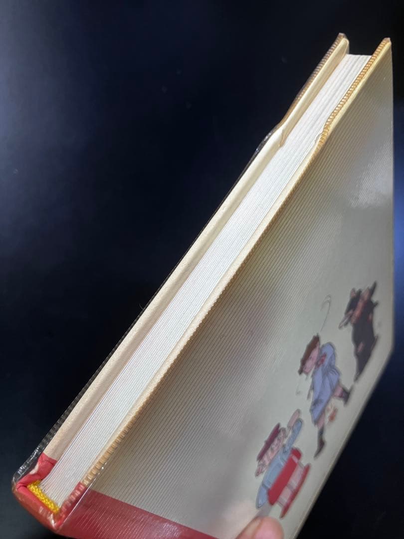 クシー君のピカビアな夜　鴨沢祐仁 初版　ハードカバー　ワイド版　B15