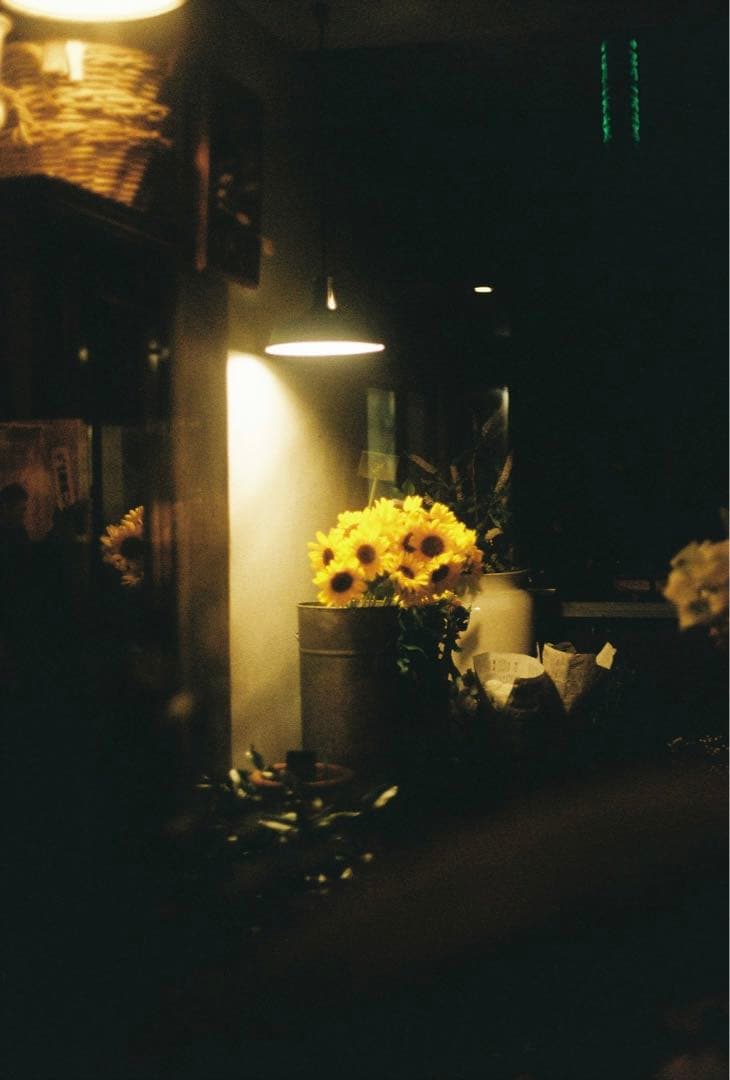 F1.8 Canon EX QL AUTO フィルムカメラ