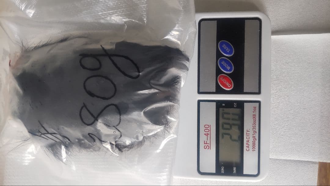 熊の毛付き爪　2点セット