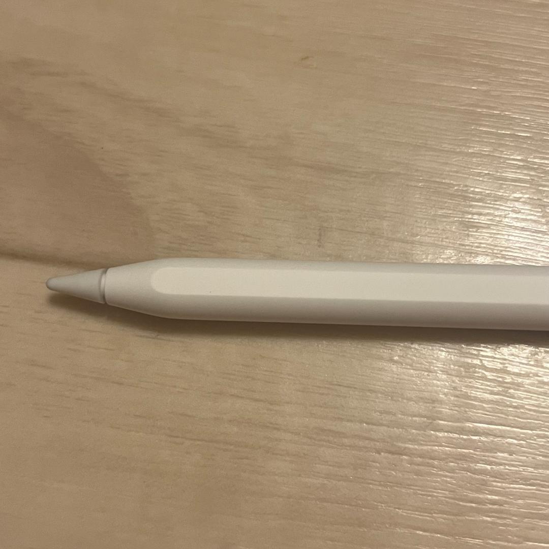 Apple Pencil Pro 純正品 未使用に近い elagoのカバー付き