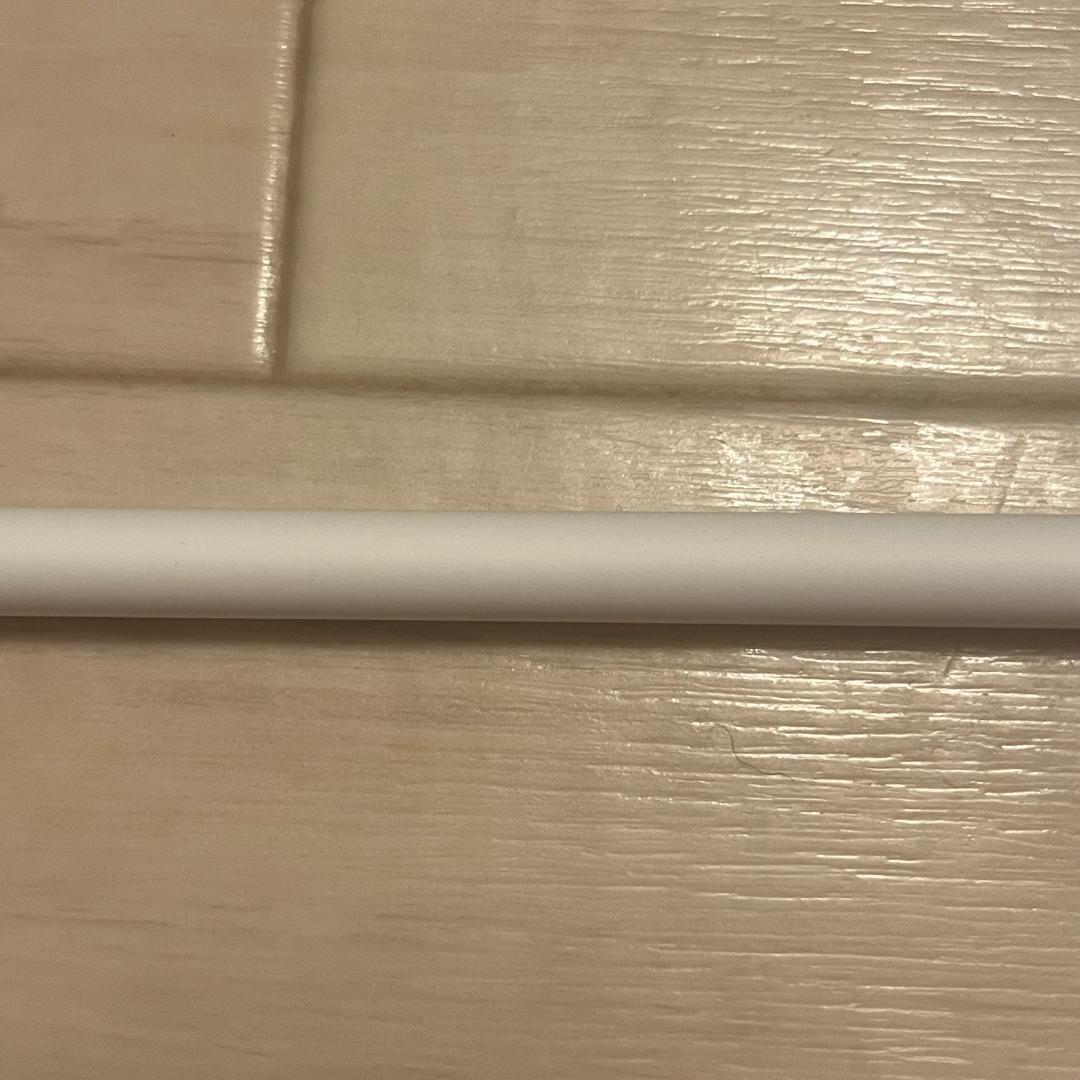 Apple Pencil Pro 純正品 未使用に近い elagoのカバー付き