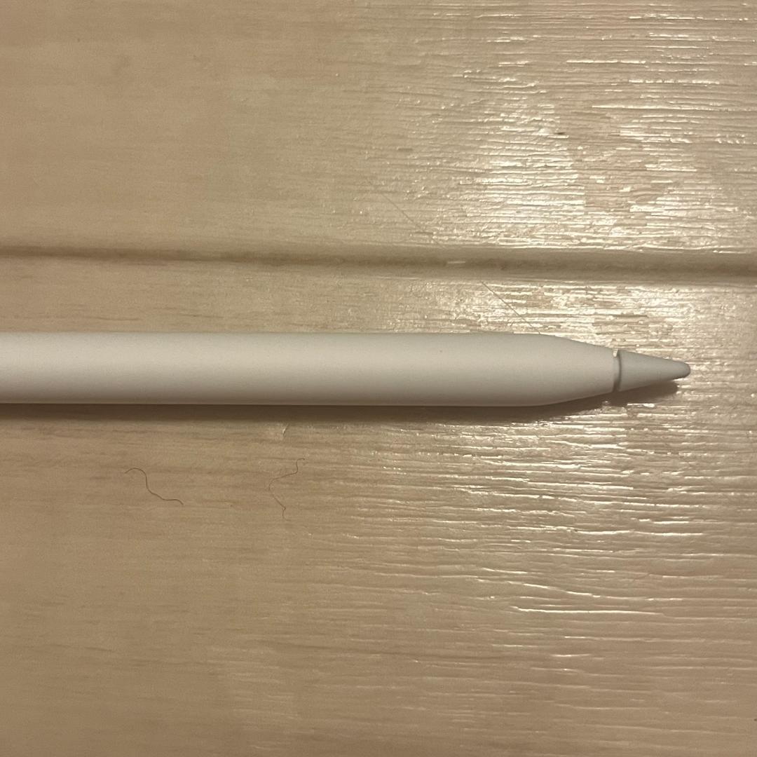 Apple Pencil Pro 純正品 未使用に近い elagoのカバー付き
