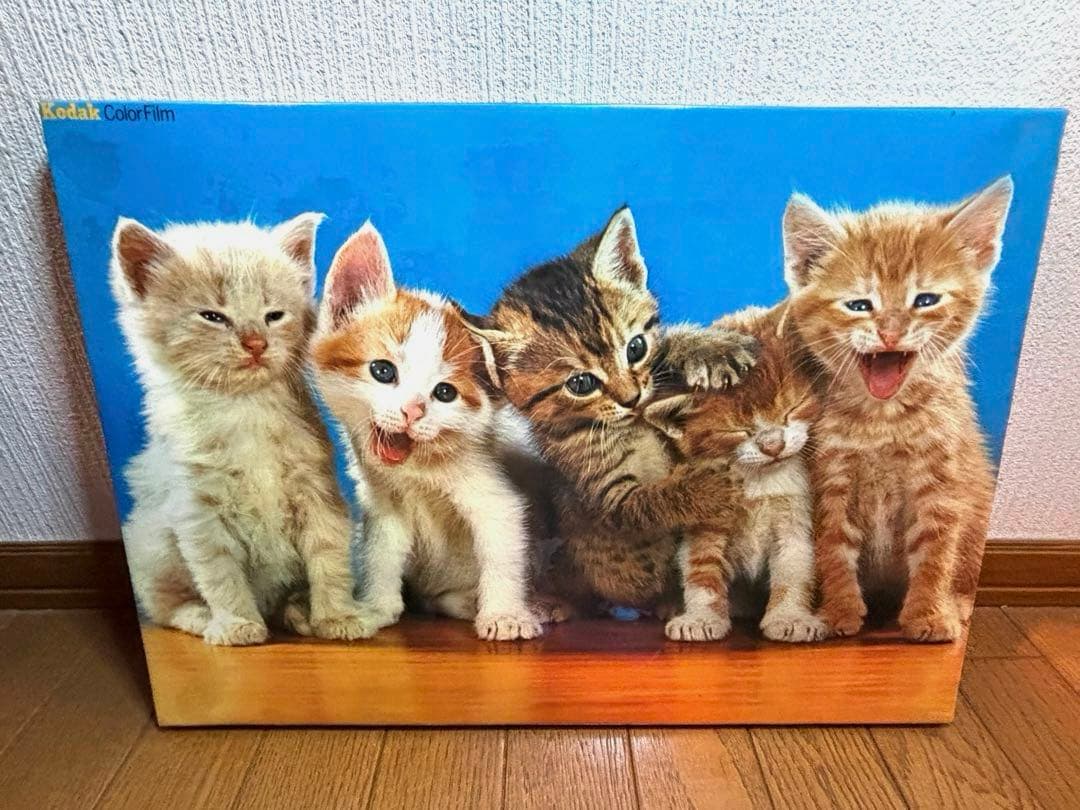 sango　コダックフィルム　コダカラー　ウォルター•チャンドーハ