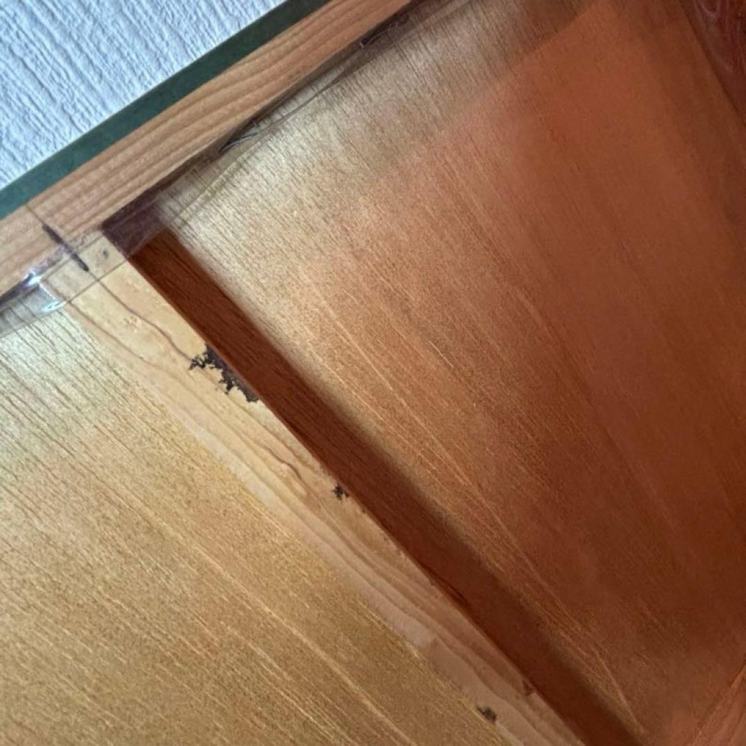 sango　コダックフィルム　コダカラー　ウォルター•チャンドーハ