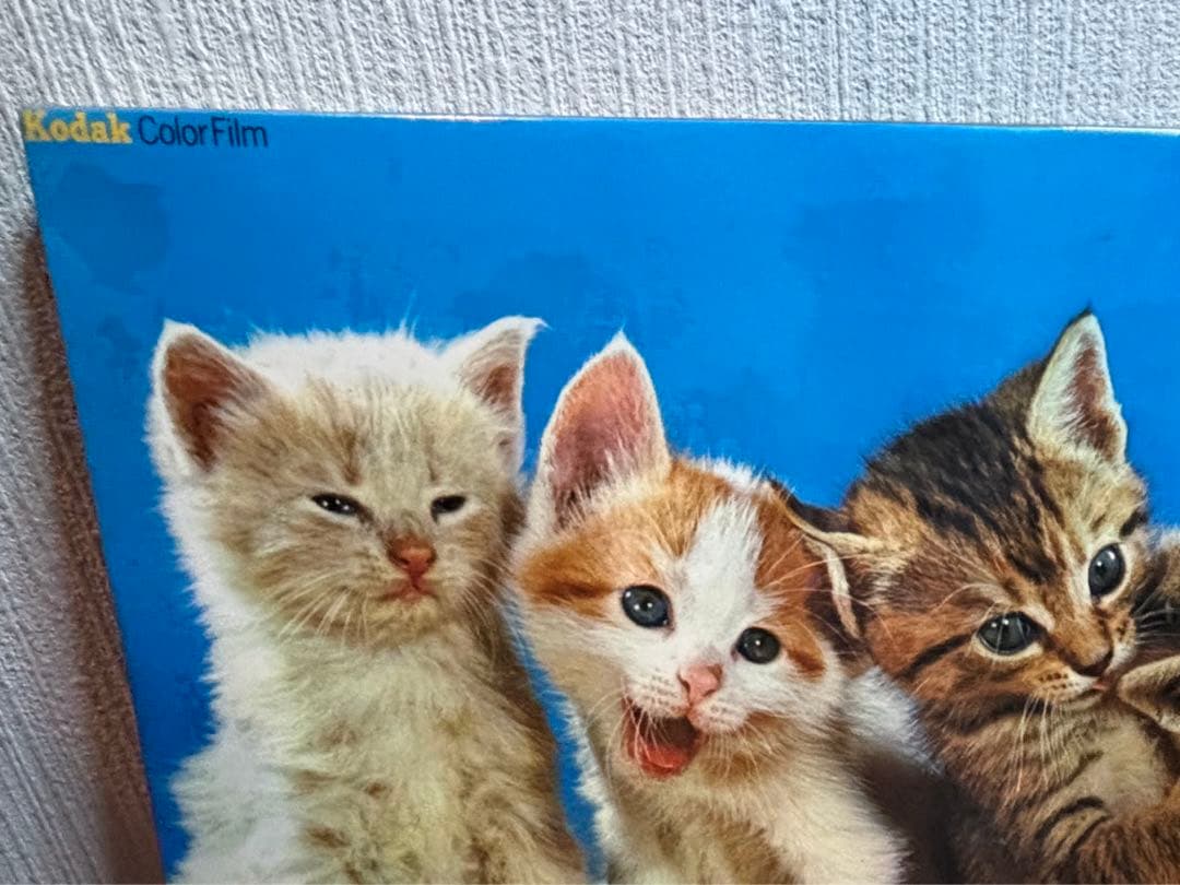 sango　コダックフィルム　コダカラー　ウォルター•チャンドーハ