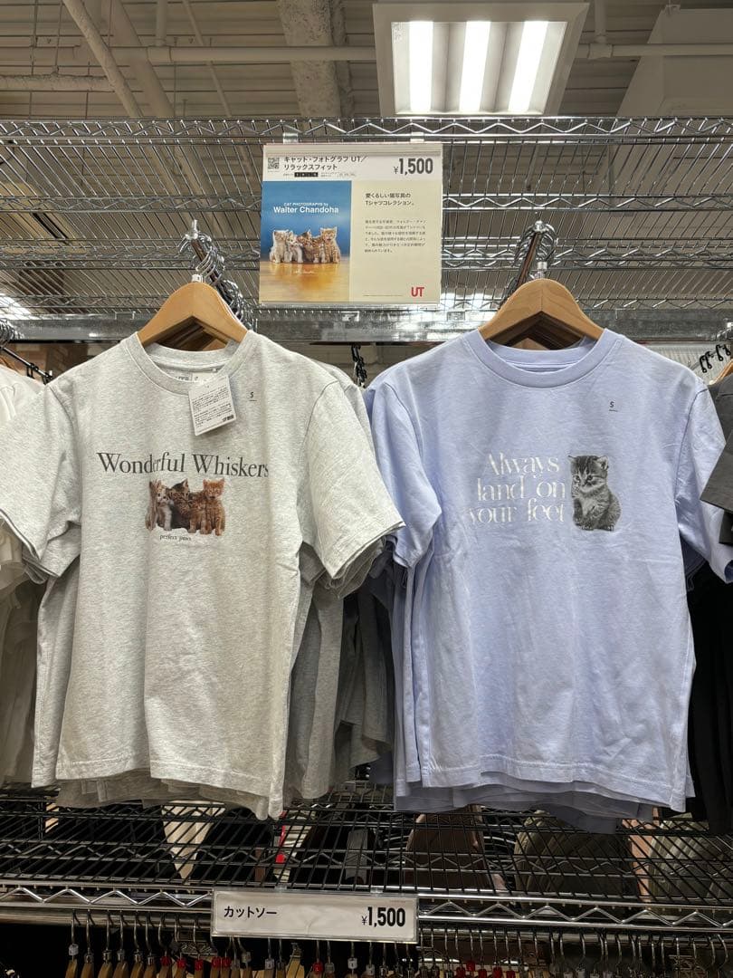 sango　コダックフィルム　コダカラー　ウォルター•チャンドーハ