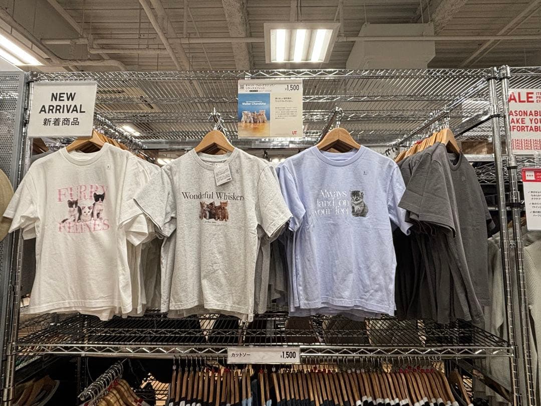 sango　コダックフィルム　コダカラー　ウォルター•チャンドーハ