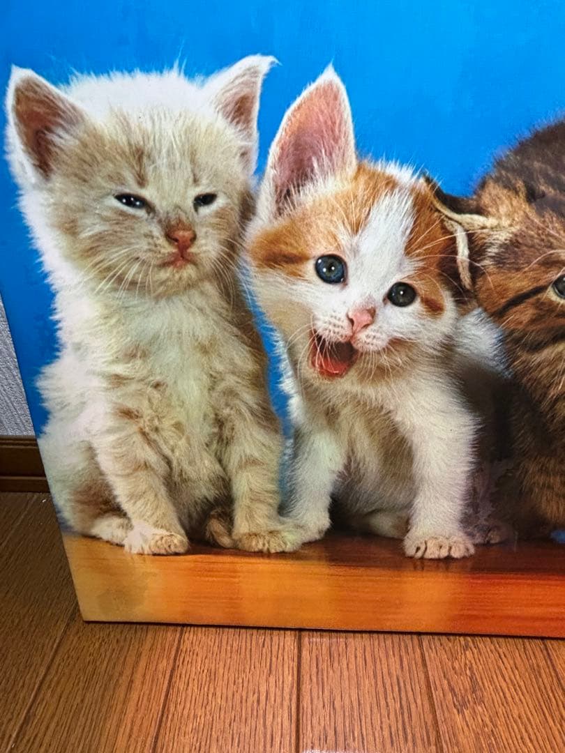 sango　コダックフィルム　コダカラー　ウォルター•チャンドーハ