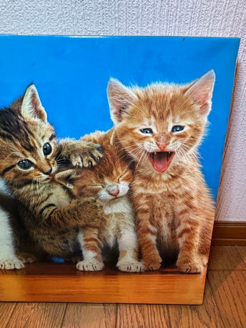 sango　コダックフィルム　コダカラー　ウォルター•チャンドーハ