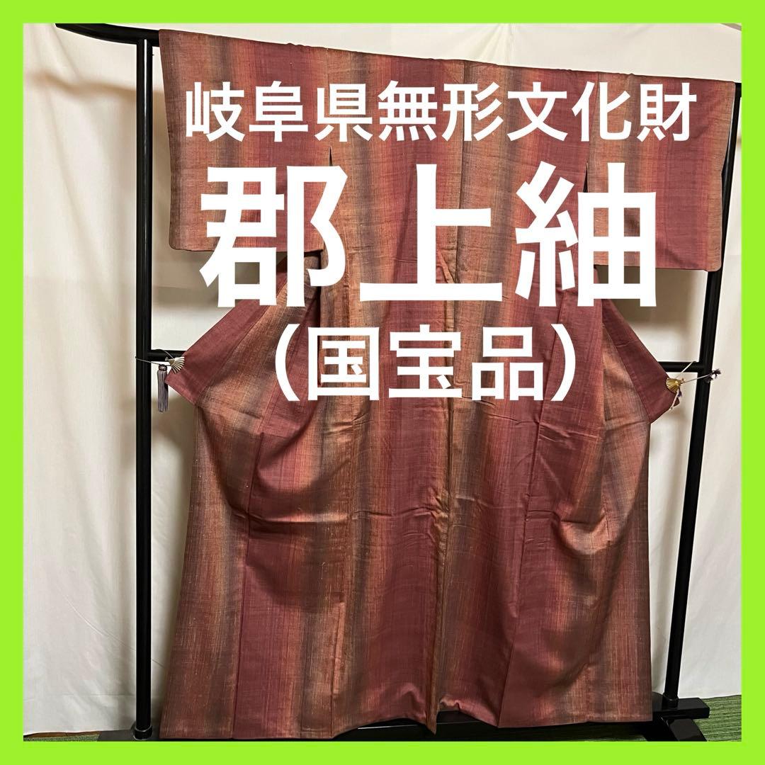 ☘️早い者勝ち☘️【国宝品】●岐阜県無形文化財【郡上紬】●幻の紬●草木染●紬●着物