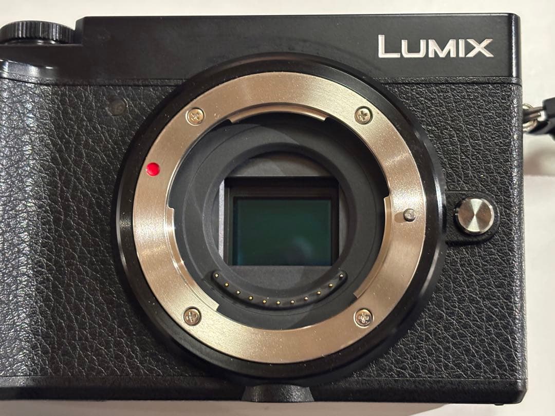 【少しの期間値下げ】Panasonic LUMIX GX7 Mark III