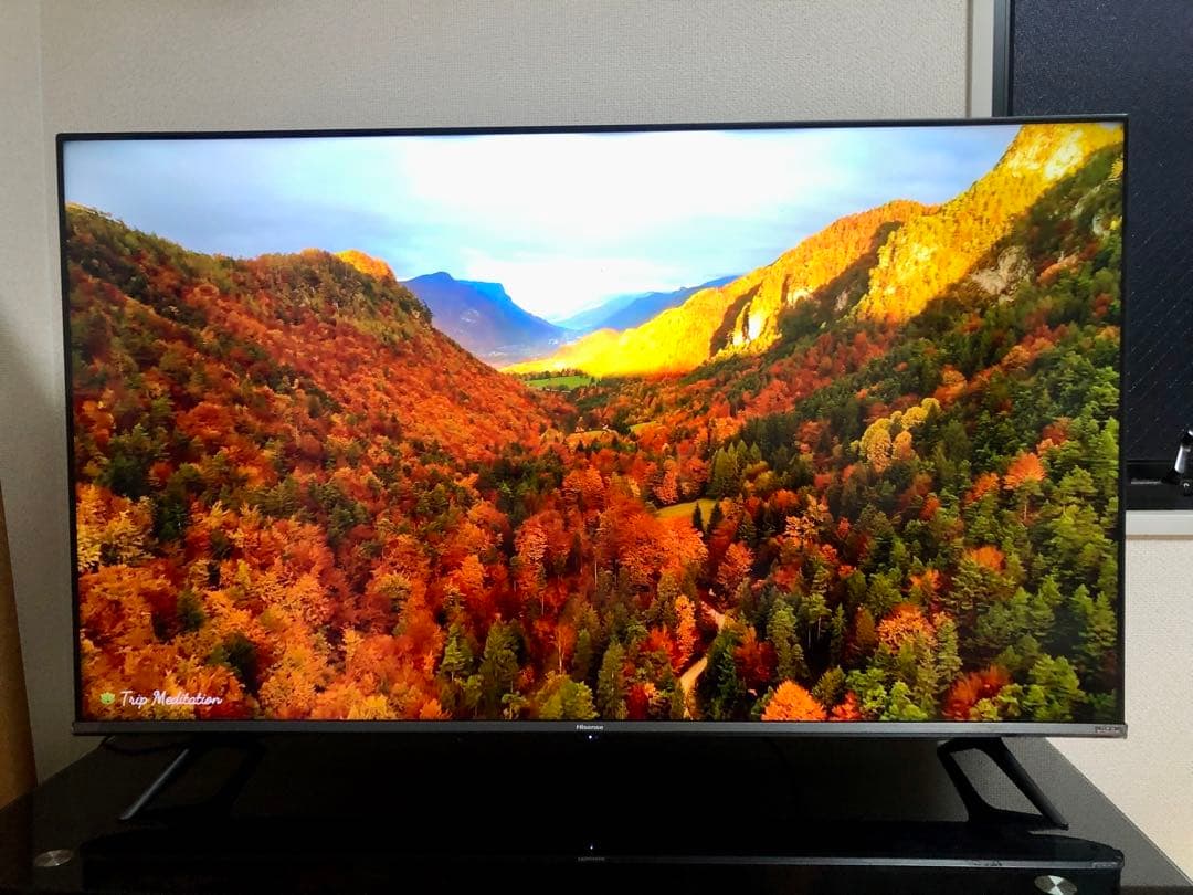 2021年製！50V型 4Kチューナー内蔵 液晶テレビ 50A65G ネット動画