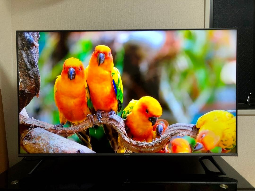 2021年製！50V型 4Kチューナー内蔵 液晶テレビ 50A65G ネット動画