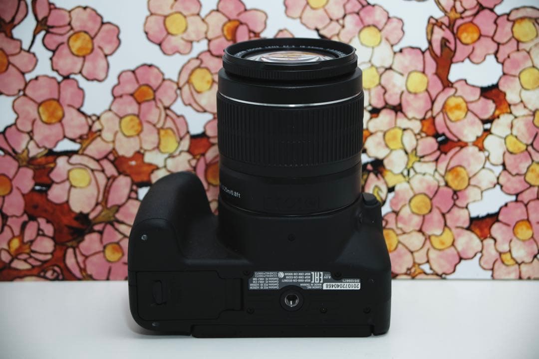 ❤️超コンパクト❤️キヤノン Canon kiss X9❤️レンズセット❤️