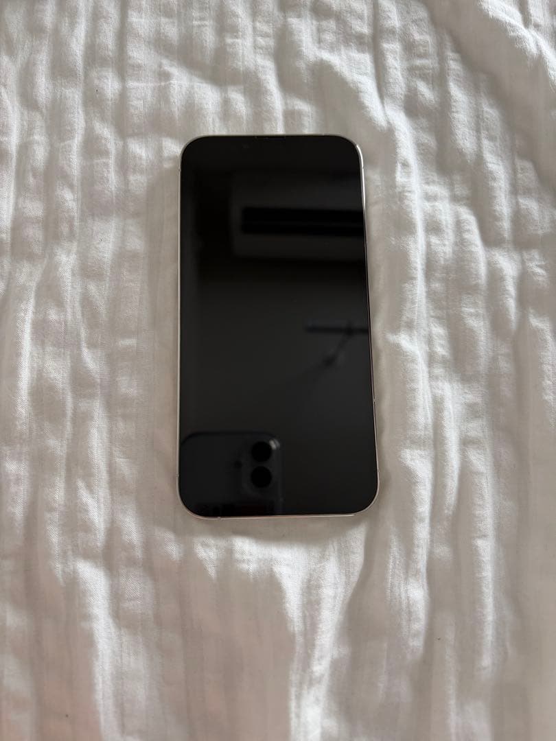 Apple iPhone 13 Pro シルバー 本体【しろ】