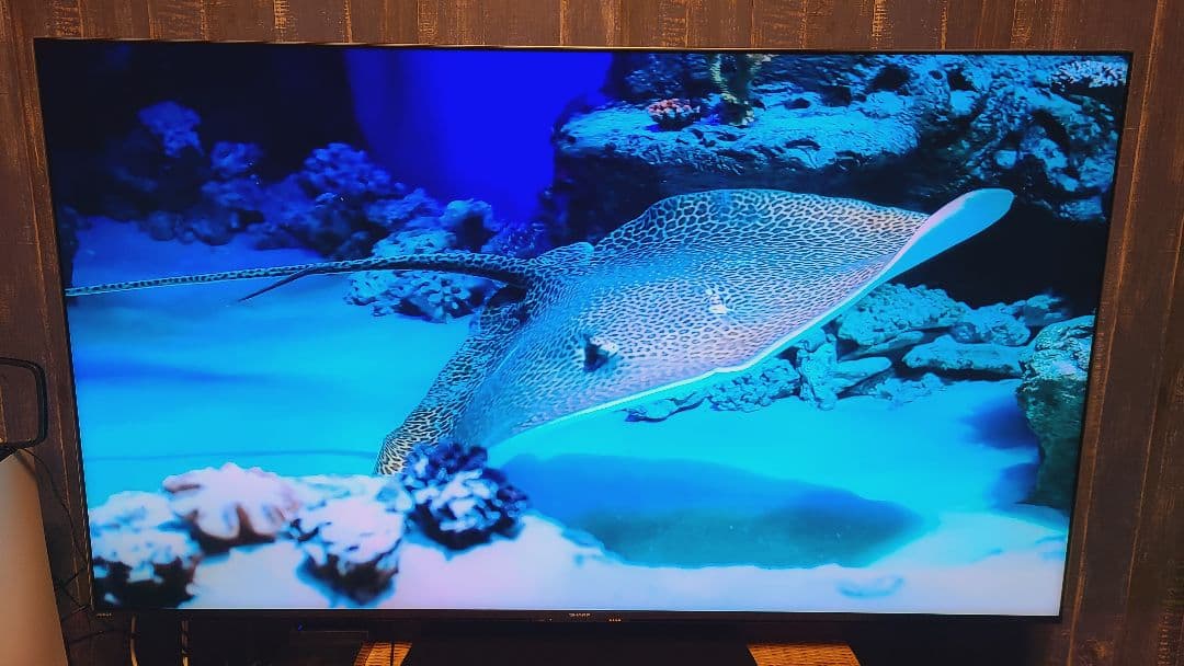 SHARP AQUOS XLED 4T-C65DP1 4K 65型 液晶テレビ