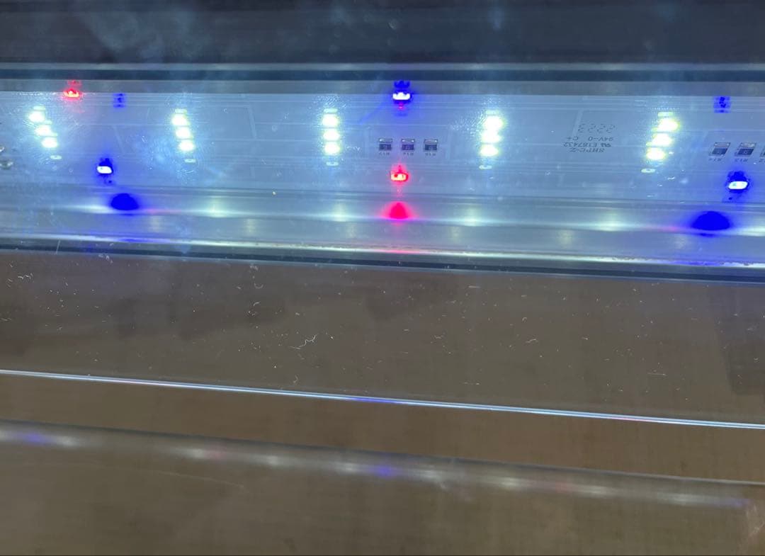 【美品】15点セット・GEX グラステリアスリム600 フレームレス水槽 他