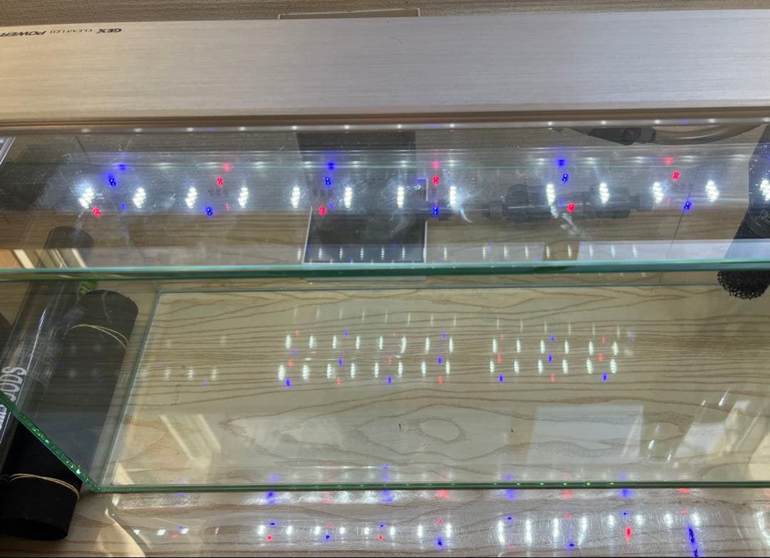 【美品】15点セット・GEX グラステリアスリム600 フレームレス水槽 他